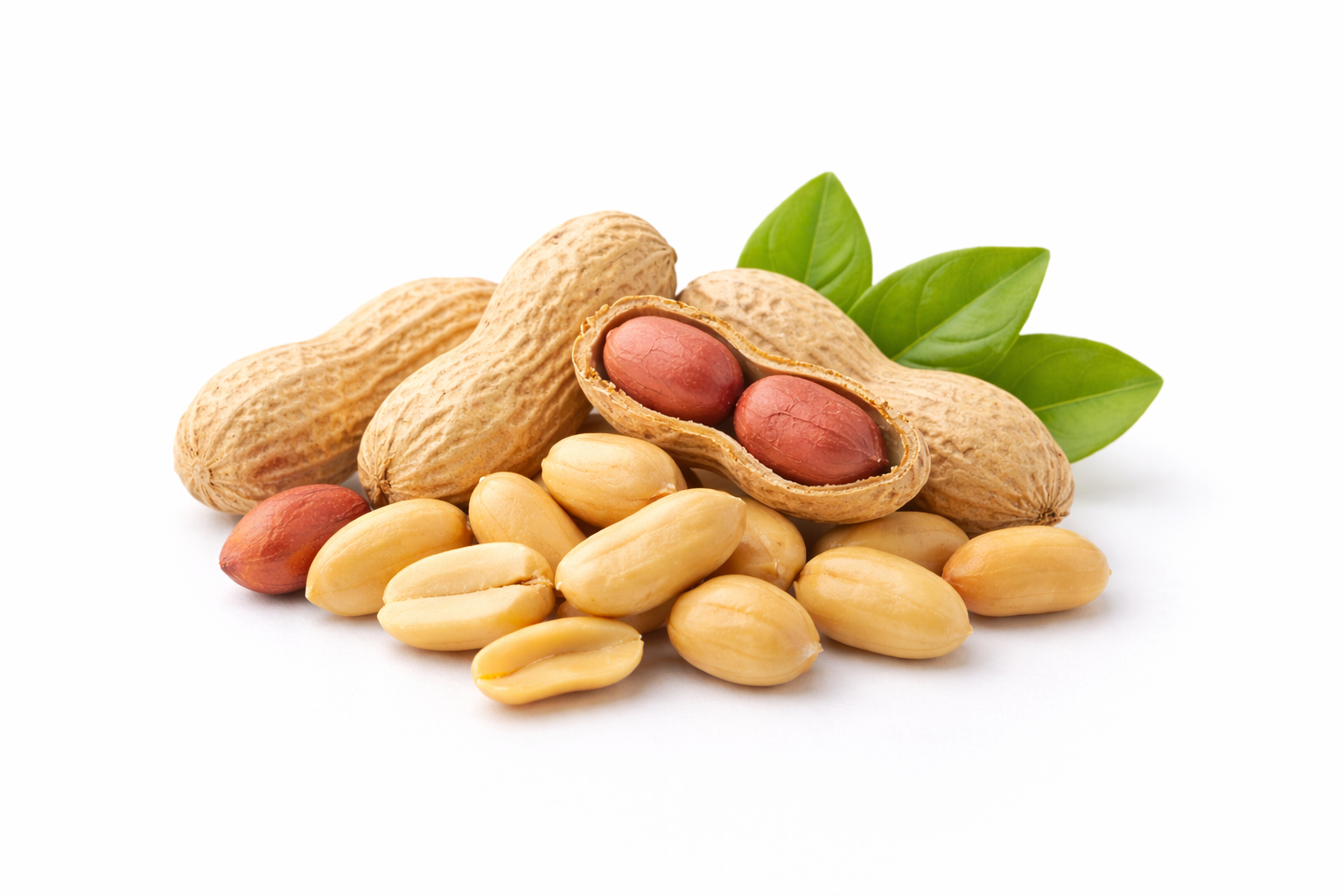 Erdnüsse in Schale und geschält – hochwertige Erdnüsse in Premiumqualität für den Handel
